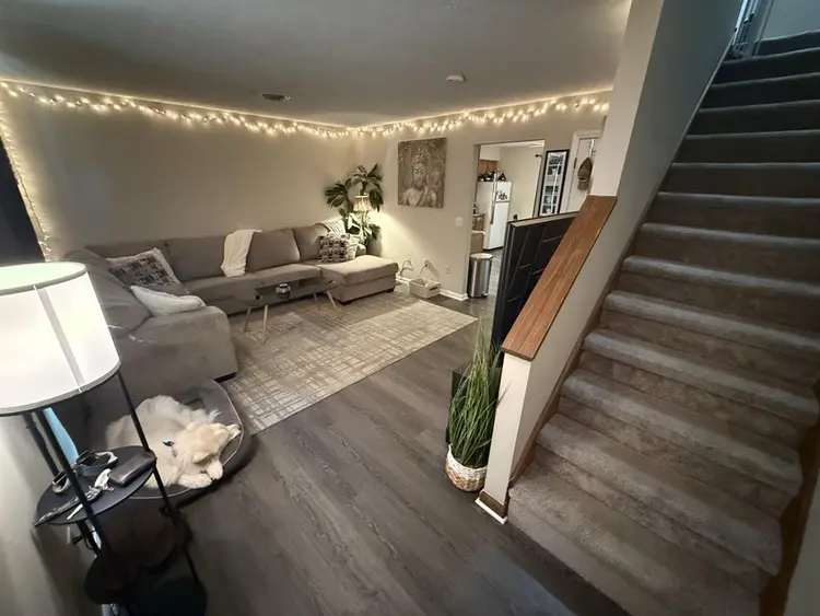 Looking for roommate