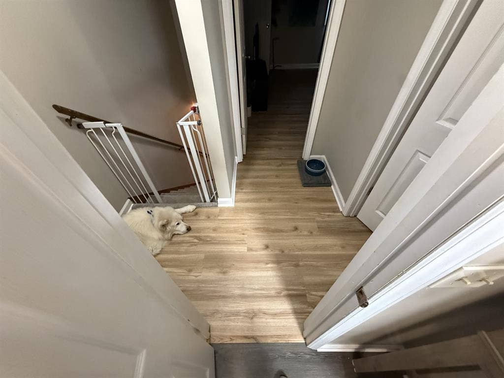 Looking for roommate