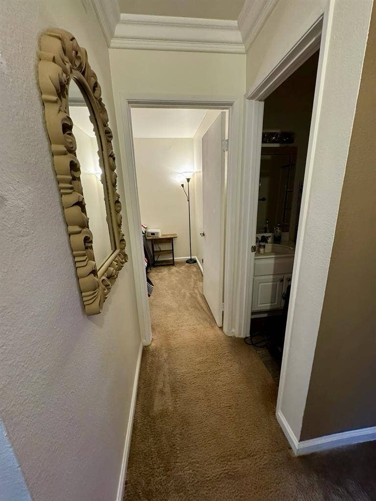 Private room and bathroom for rent