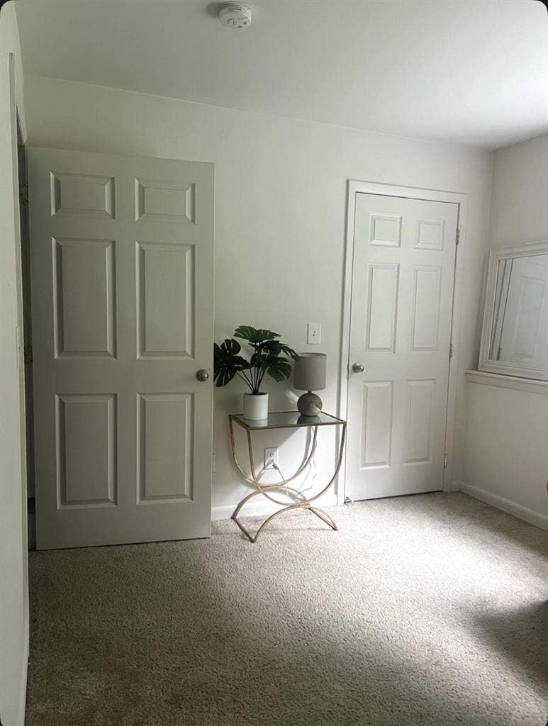 Looking for a roommate to move in!