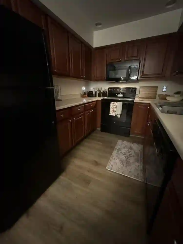 Looking for a roommate to move in!