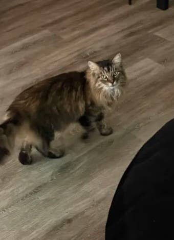 Marina del Rey -Available Jan 1st