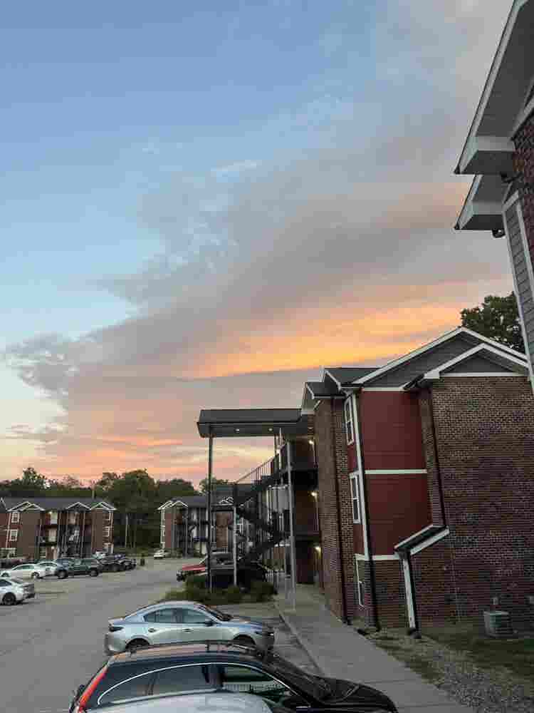 Looking for a Roommate