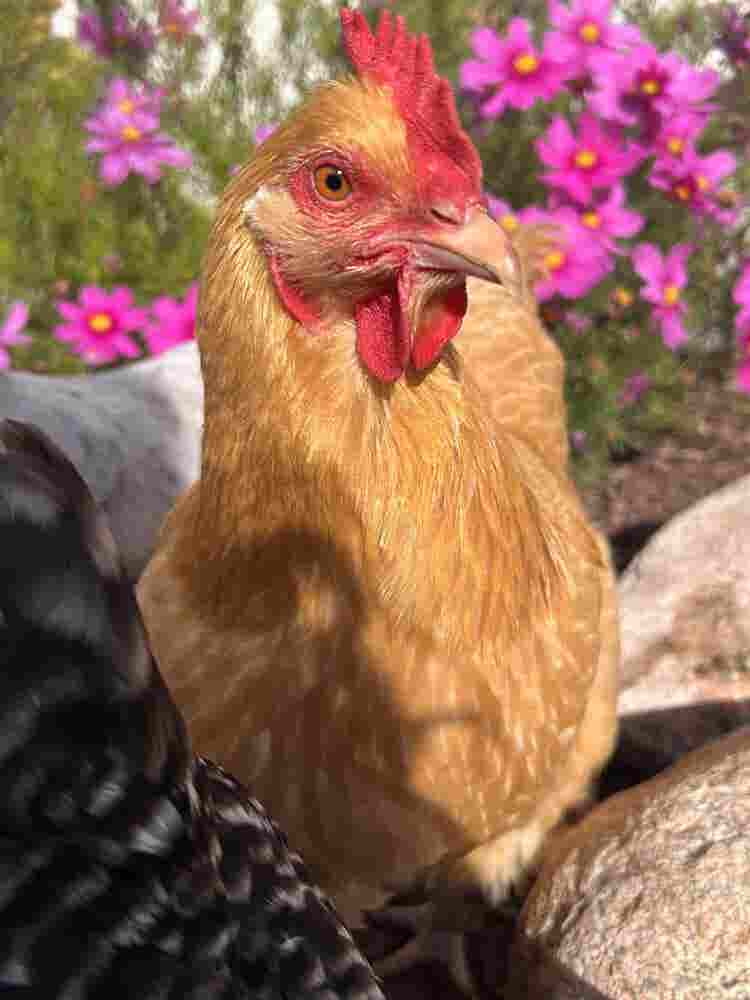 Creative 4plex | Room + Sauna