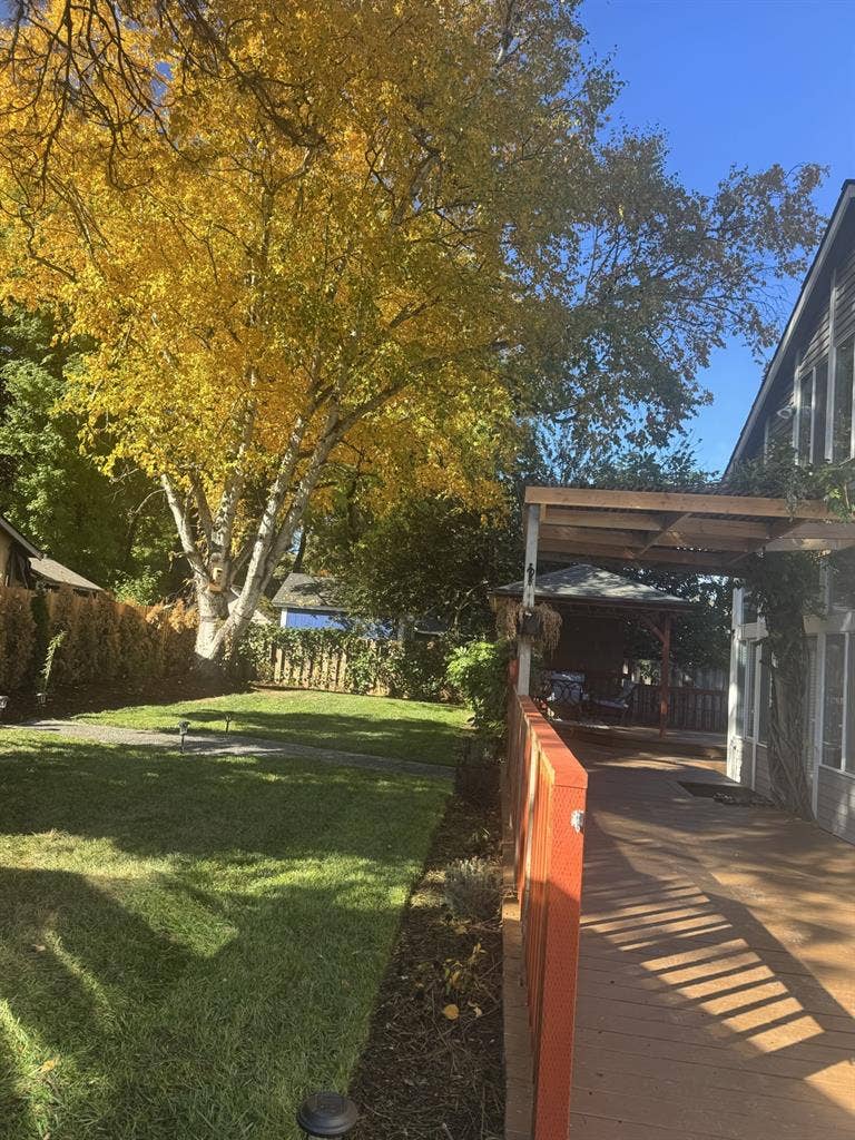 Room for rent in charming home