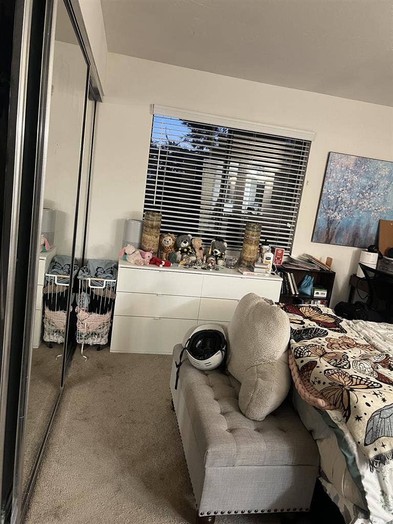 ROOMMATE NEEDED westwood apartments