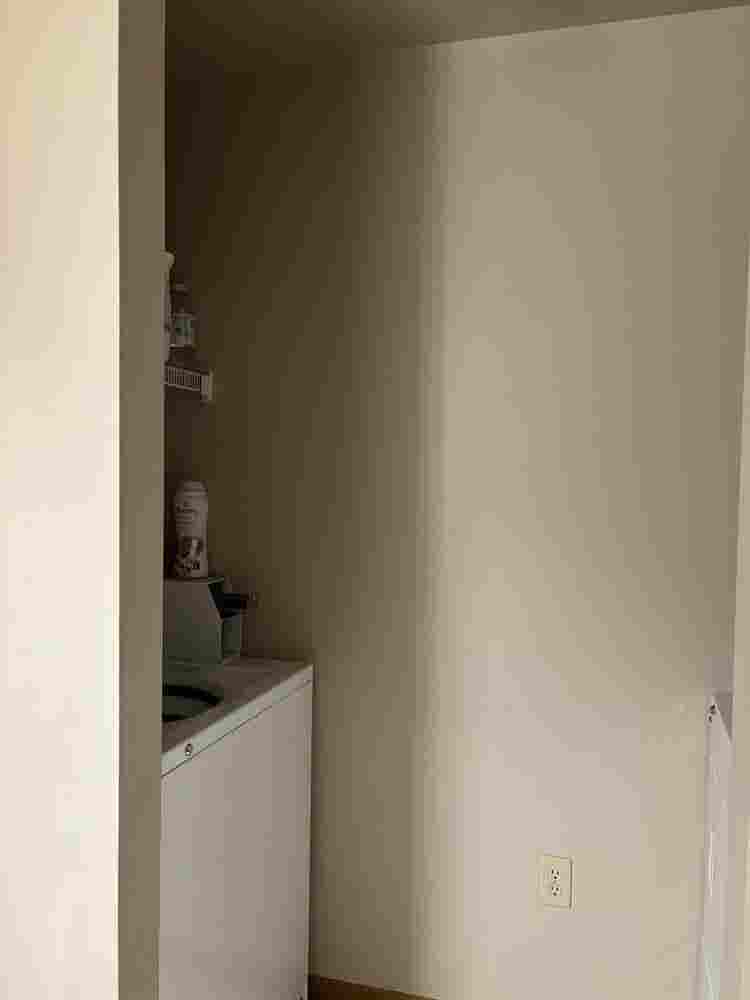 1 room Sublease for Spring