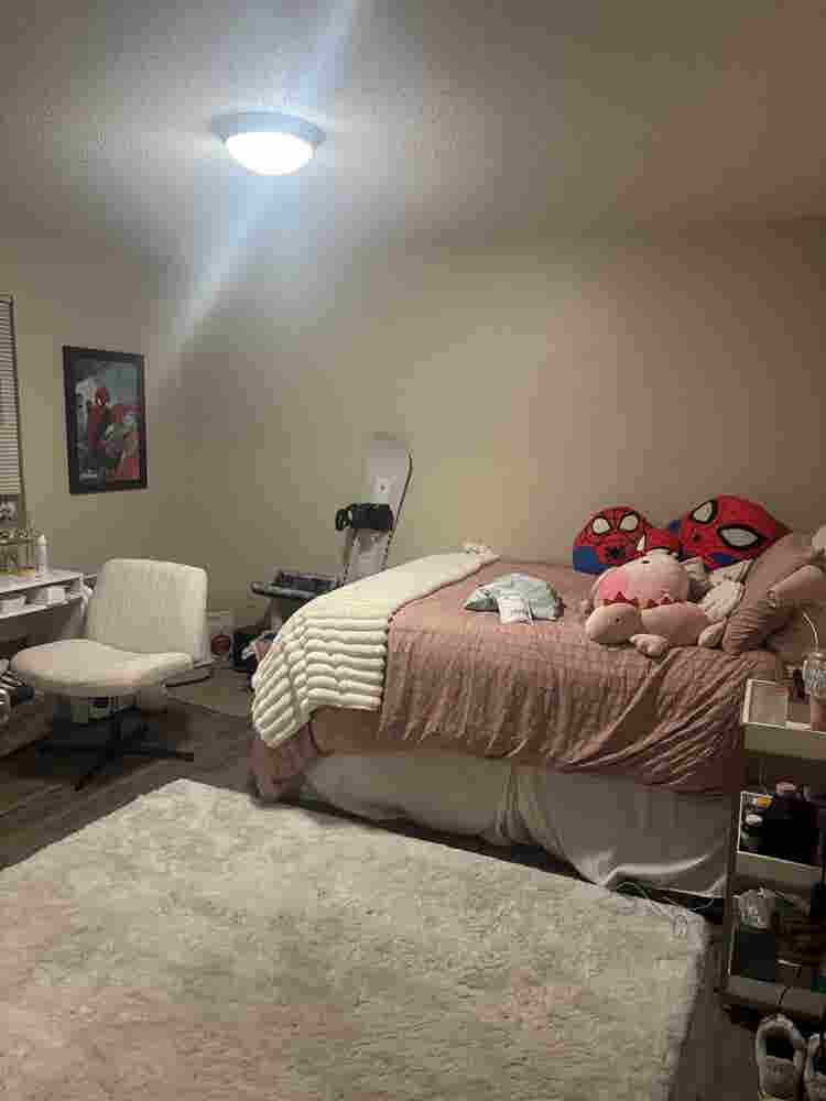 1 room Sublease for Spring