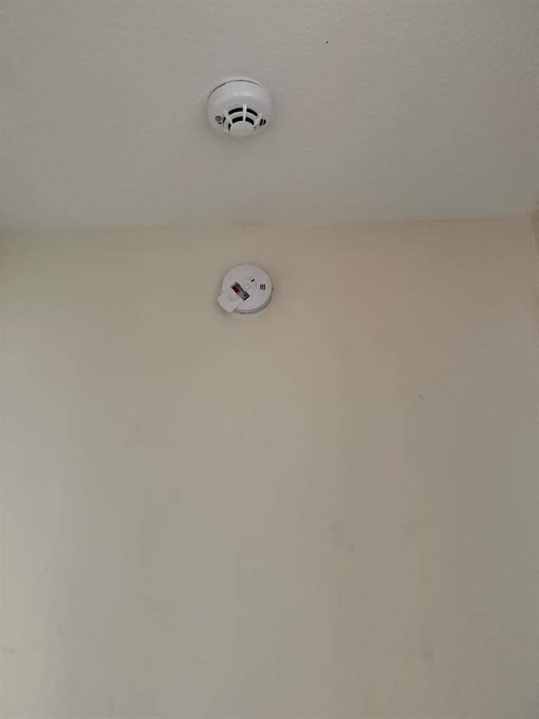 Beautiful  room Female only