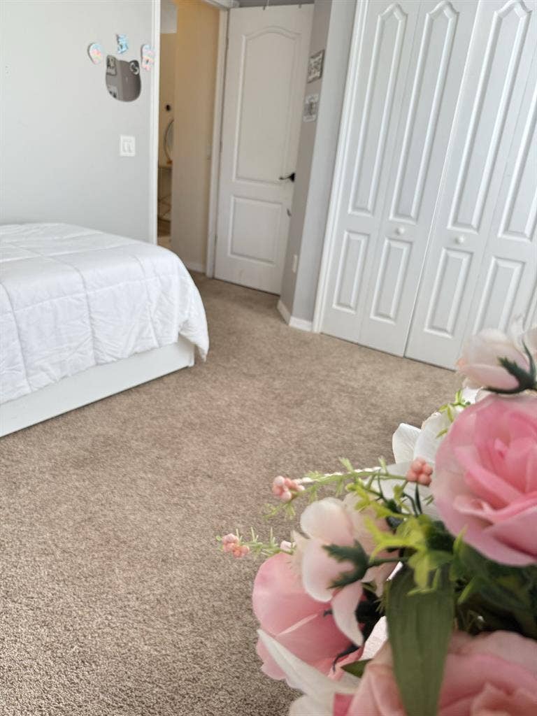 Beautiful  room Female only