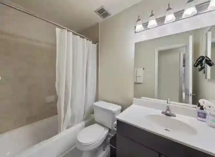 Furnished 1BR in Alexandria VA