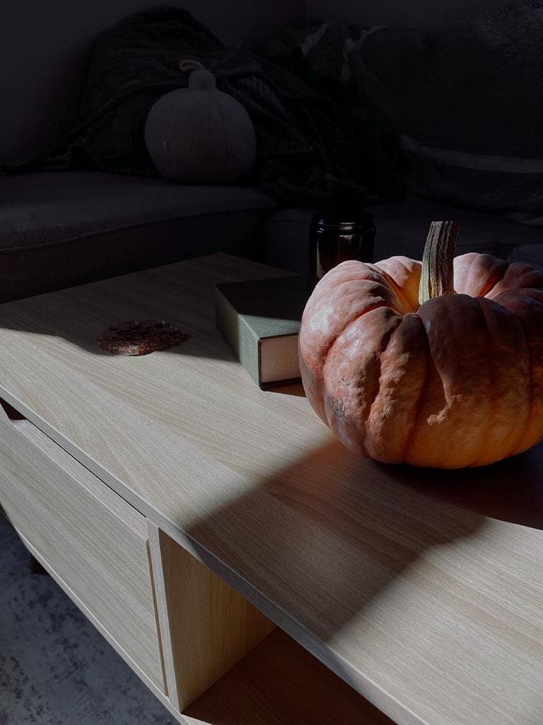 Private Room for Rent in HS, FL