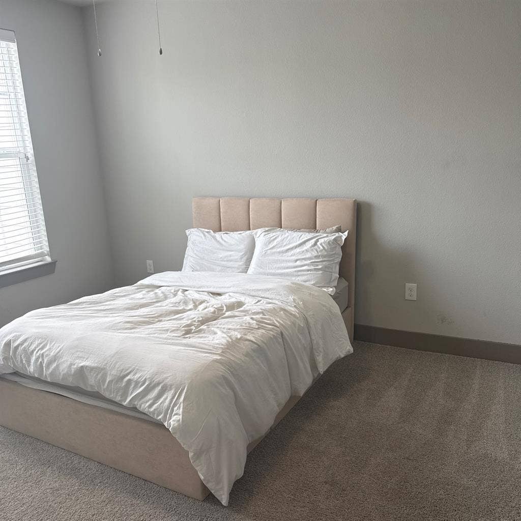 Looking for a roommate