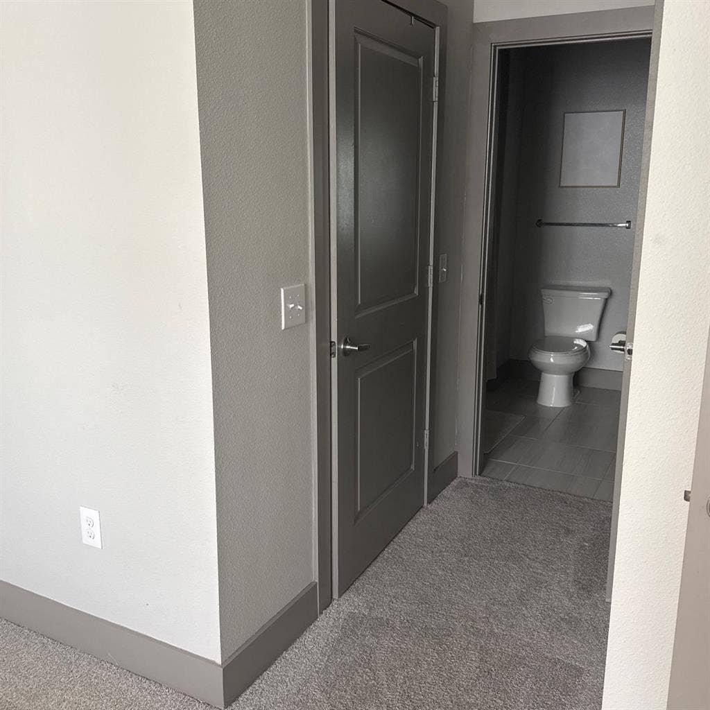 Looking for a roommate