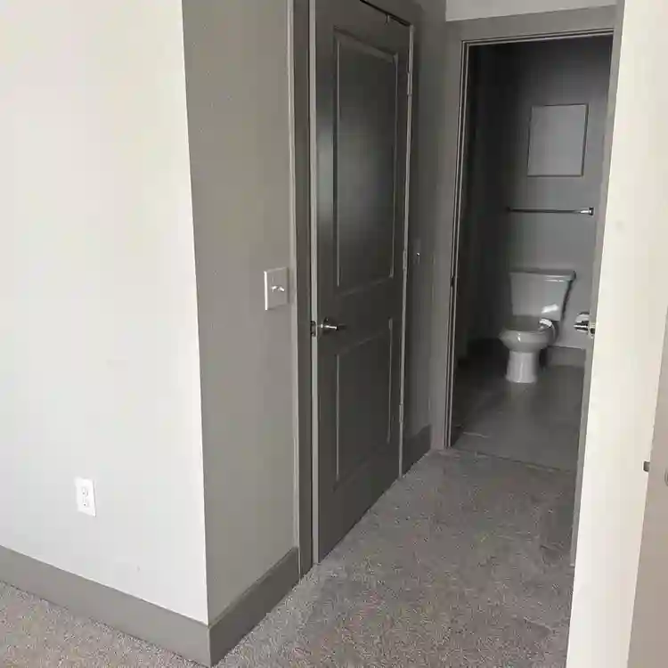 Looking for a roommate