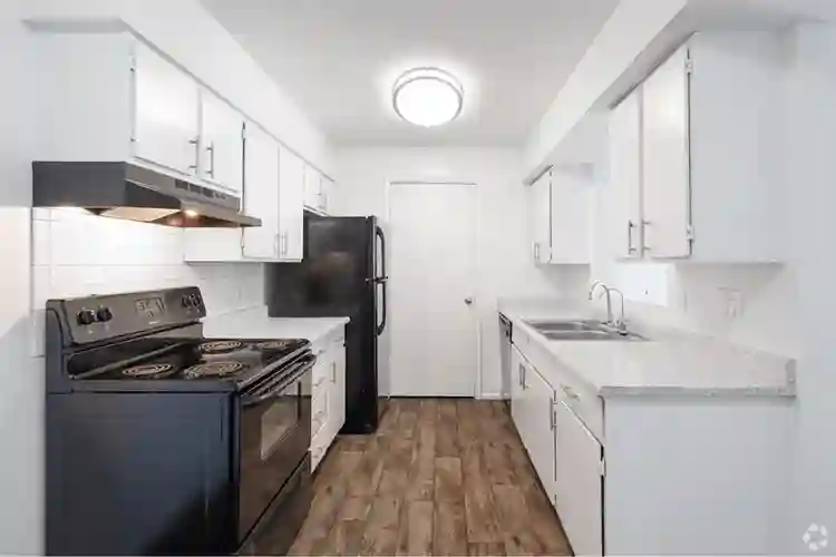 Looking for a roommate