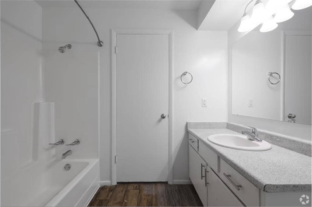 Looking for a roommate