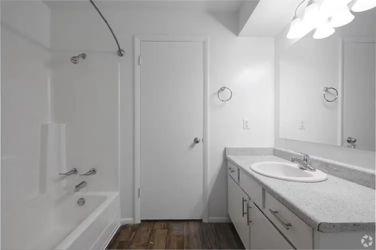 Looking for a roommate