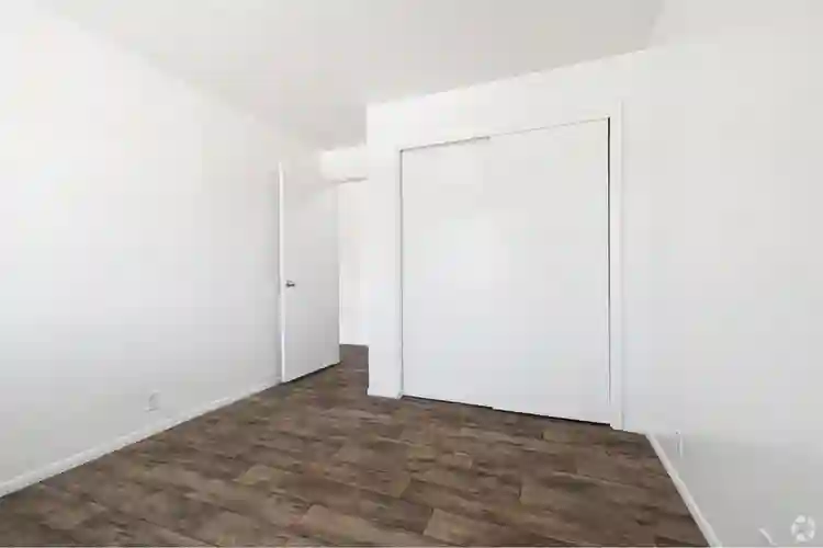 Looking for a roommate