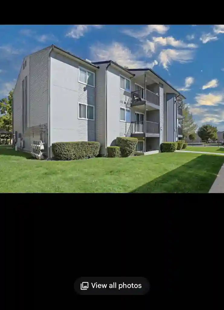 Looking for a roommate