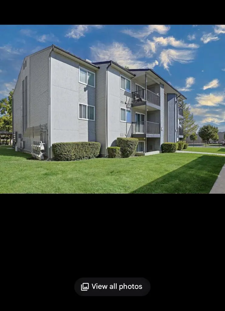 Looking for a roommate