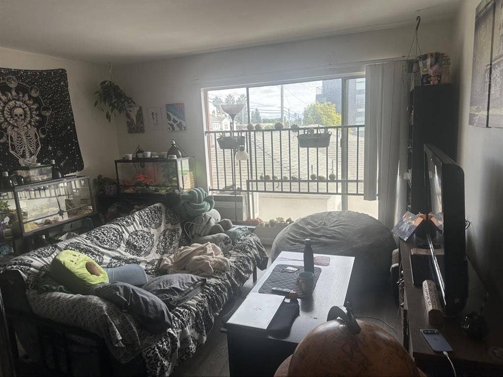 Mar Vista Roommate Wanted