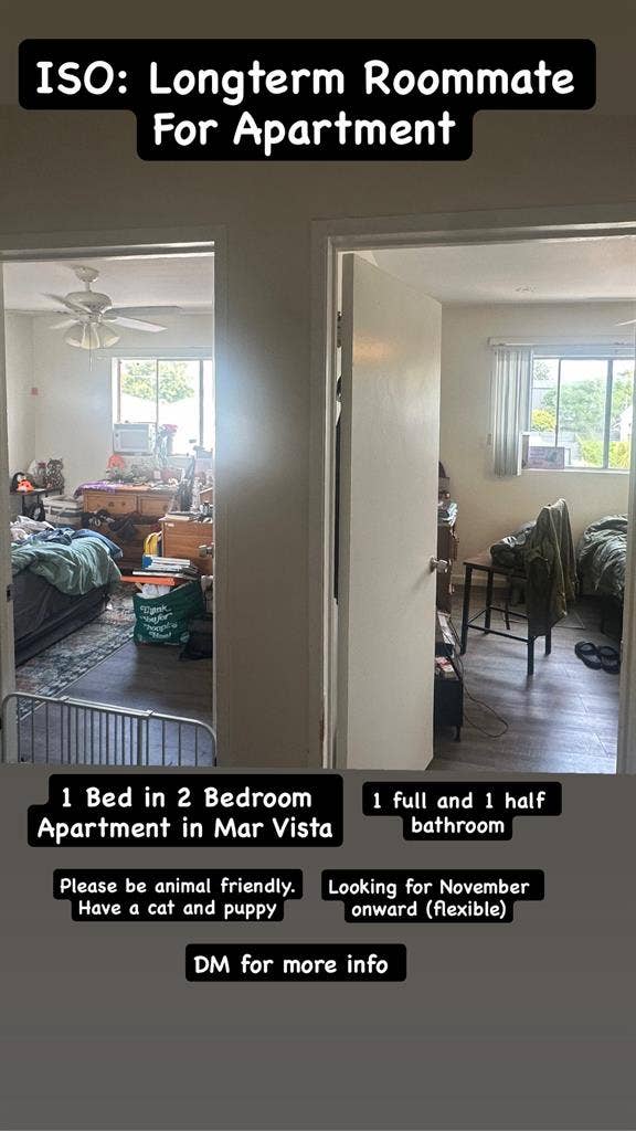 Mar Vista Roommate Wanted