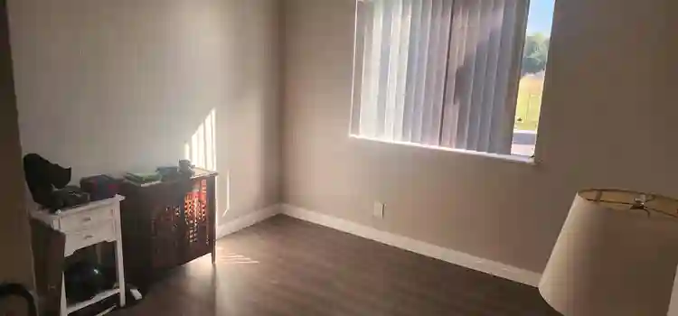 Roommate needed before January