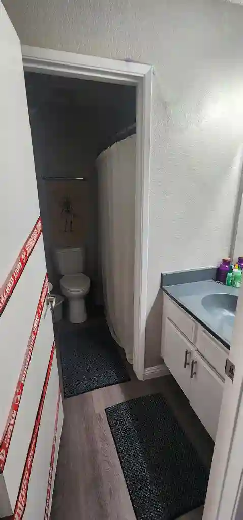 Roommate needed before January