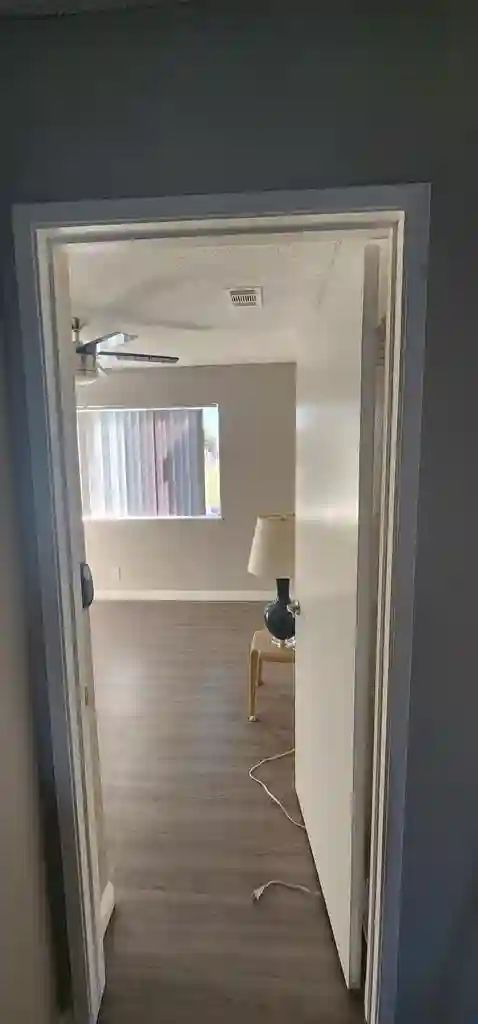 Roommate needed before January