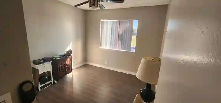 Roommate needed before January