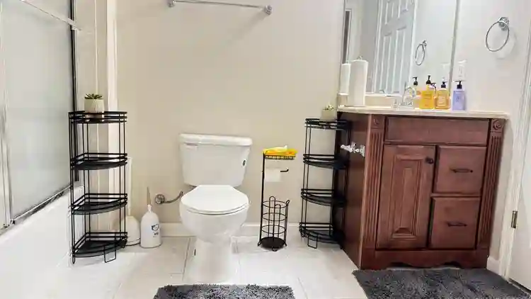 Ashburn 1BR Basement EnSuite