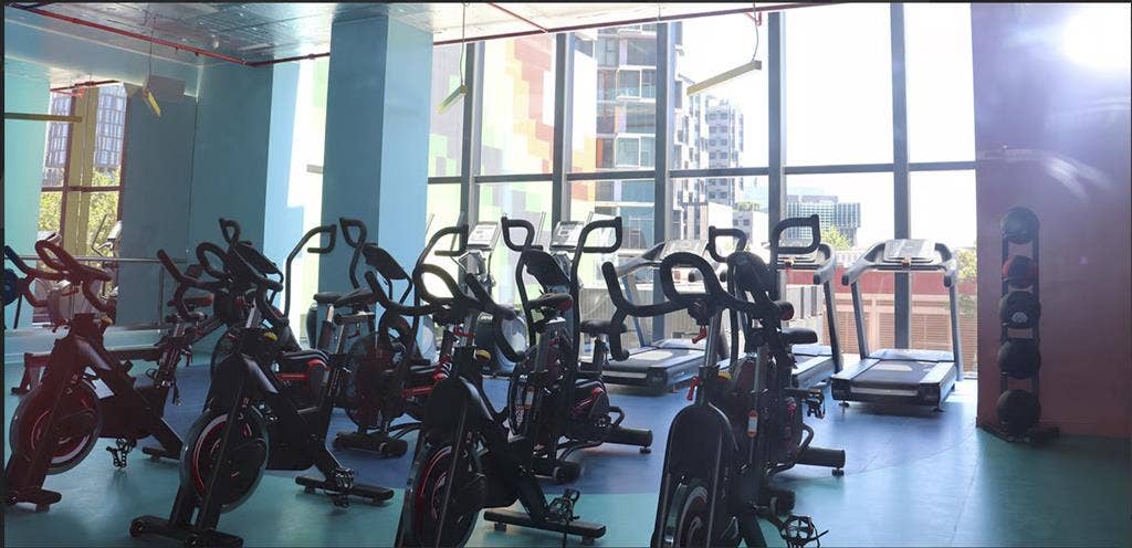 Signature Plus Studio