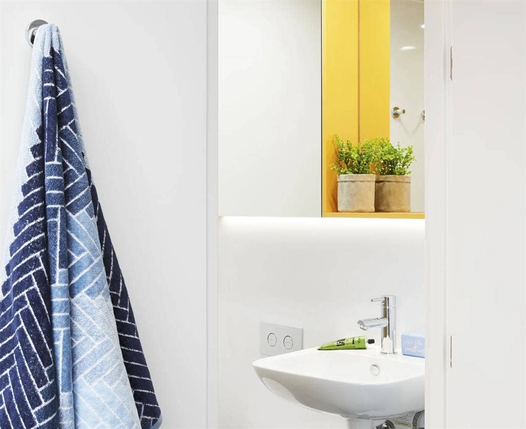 Signature Plus Studio