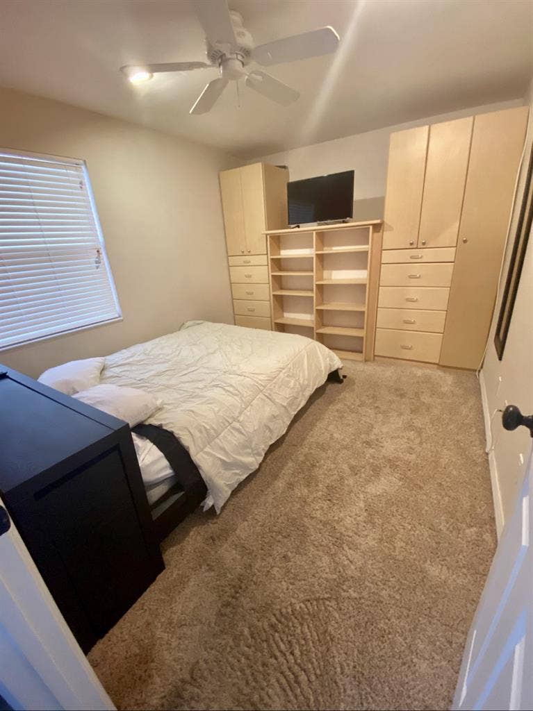 Paradise in Palm Harbor