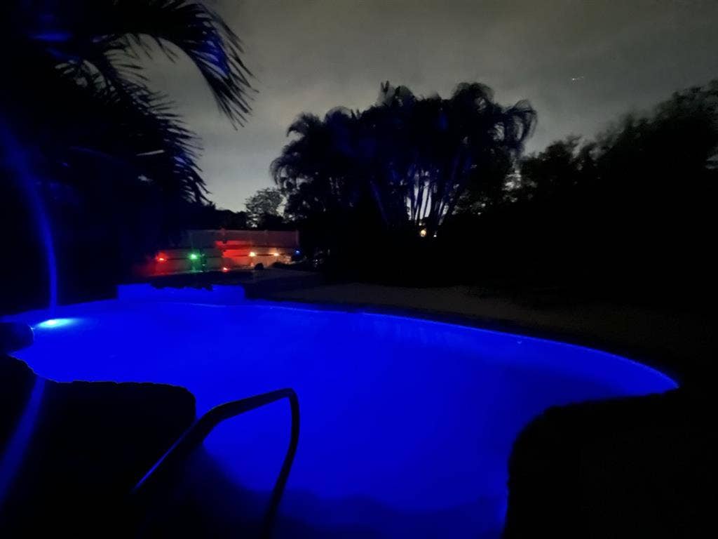 Paradise in Palm Harbor