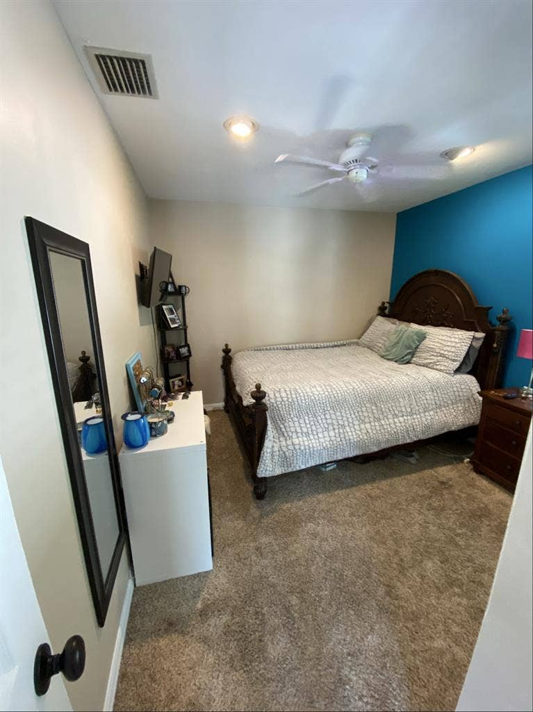 Paradise in Palm Harbor