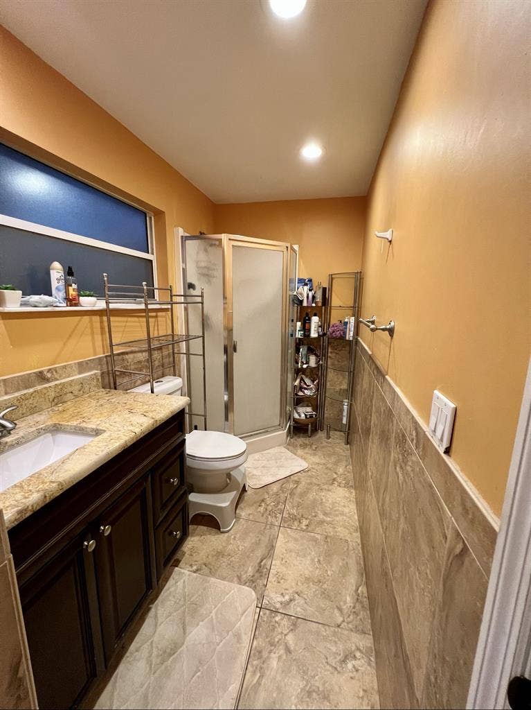 Paradise in Palm Harbor