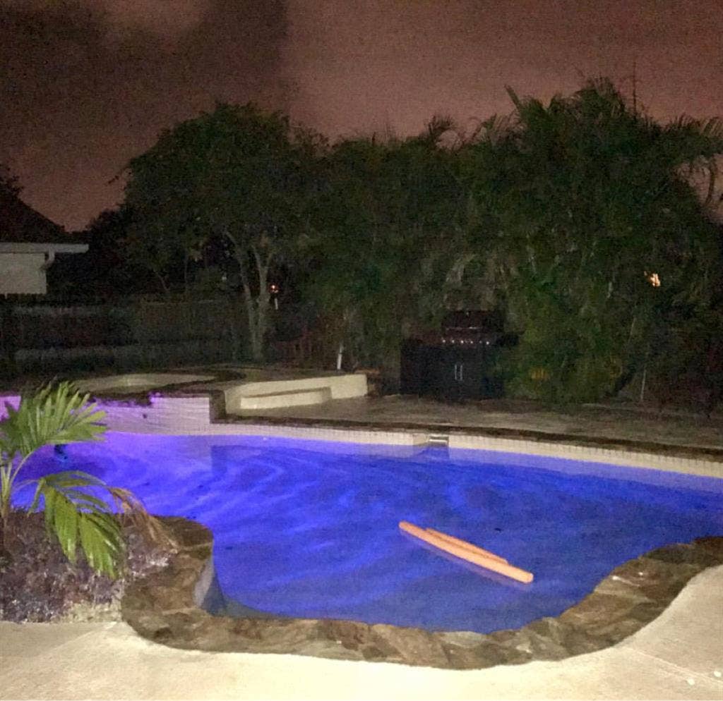 Paradise in Palm Harbor