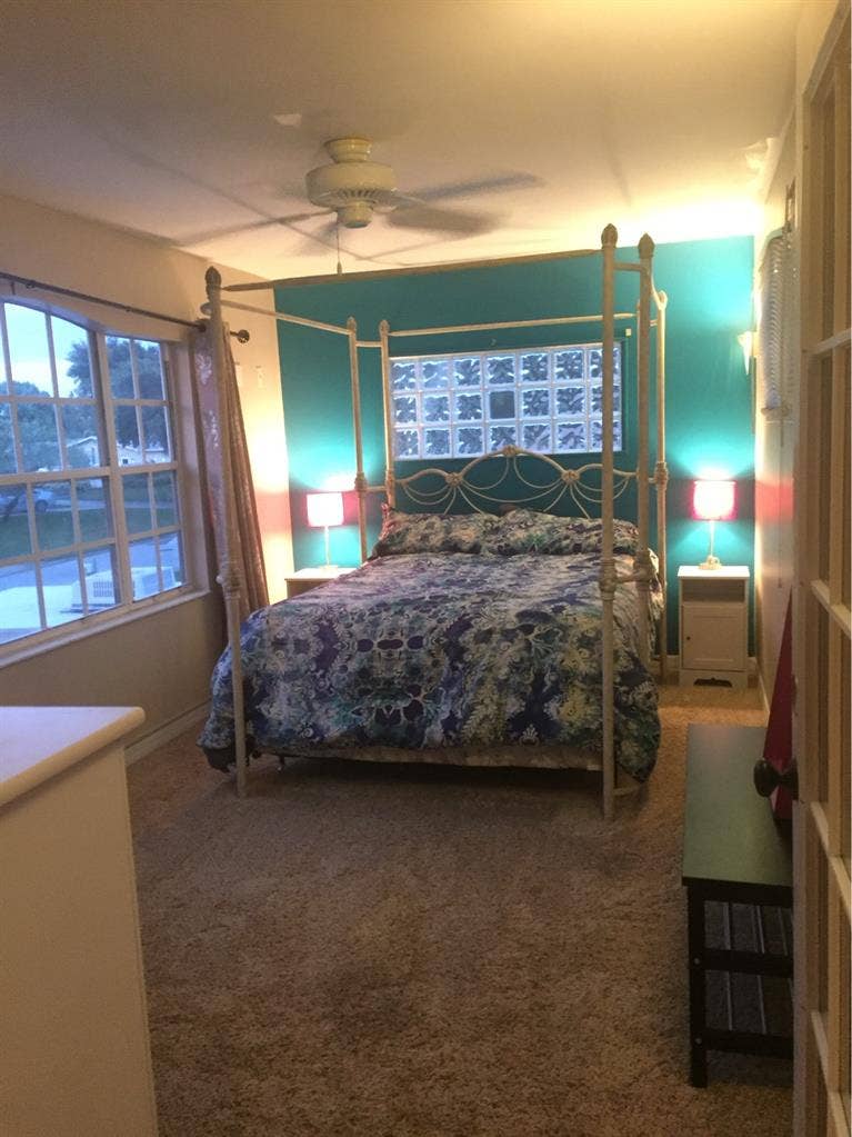 Paradise in Palm Harbor