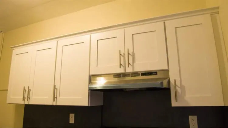 Female Roommate Wanted – BA