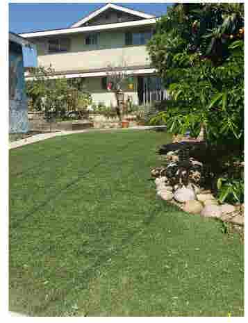 Looking for an Amazeballs Roommate