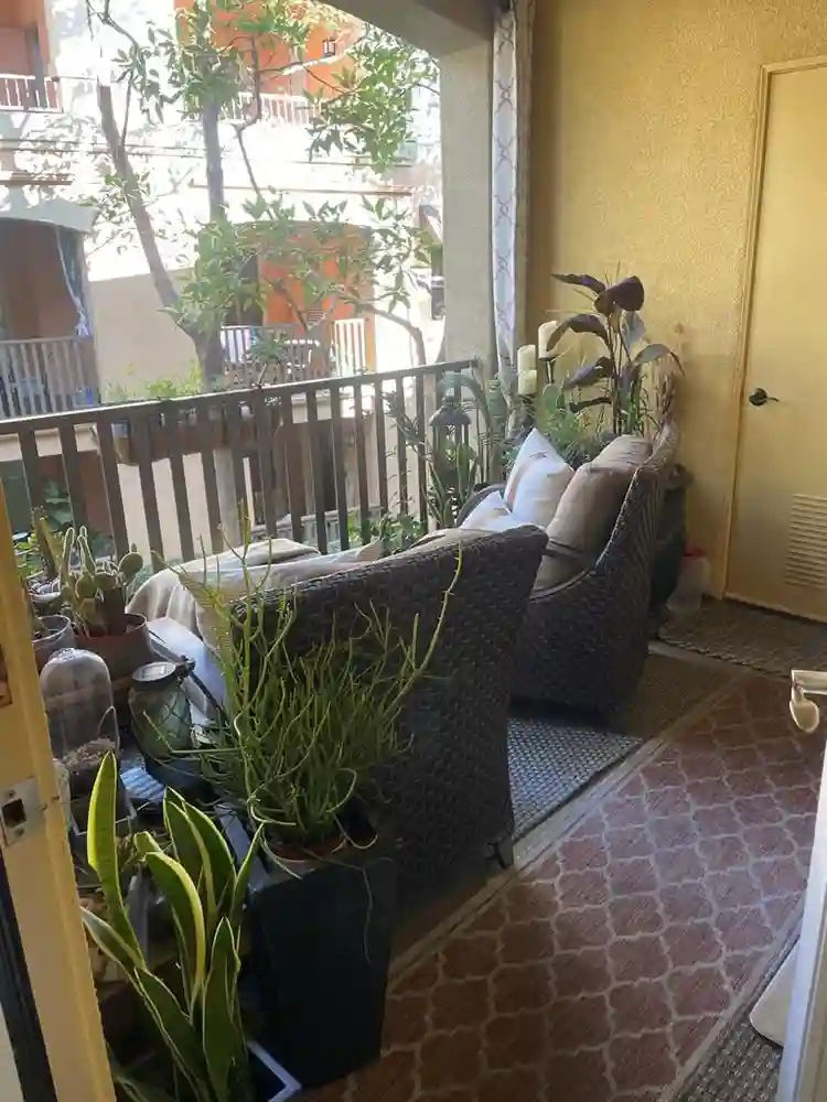 Looking for a Roommate-B