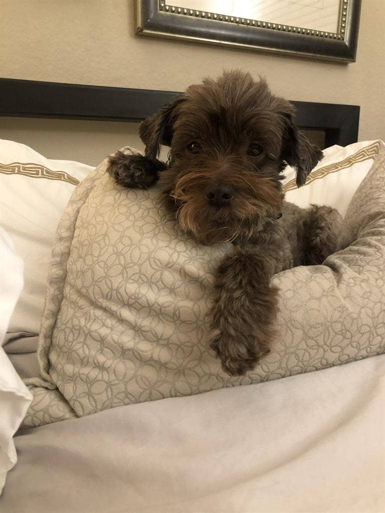 Looking for a Roommate-B