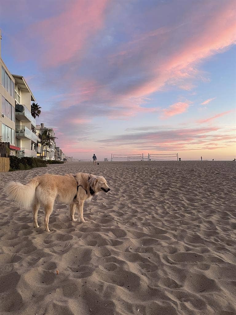 Room in Spacious MDR Beach Pad