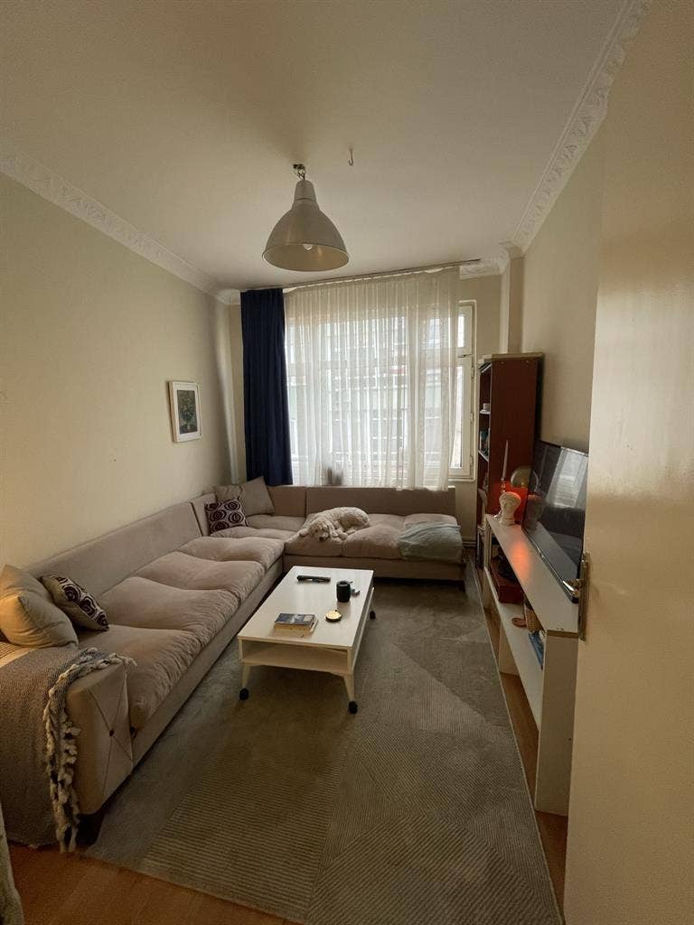 Ev Arkadaşı- ROOMMATE