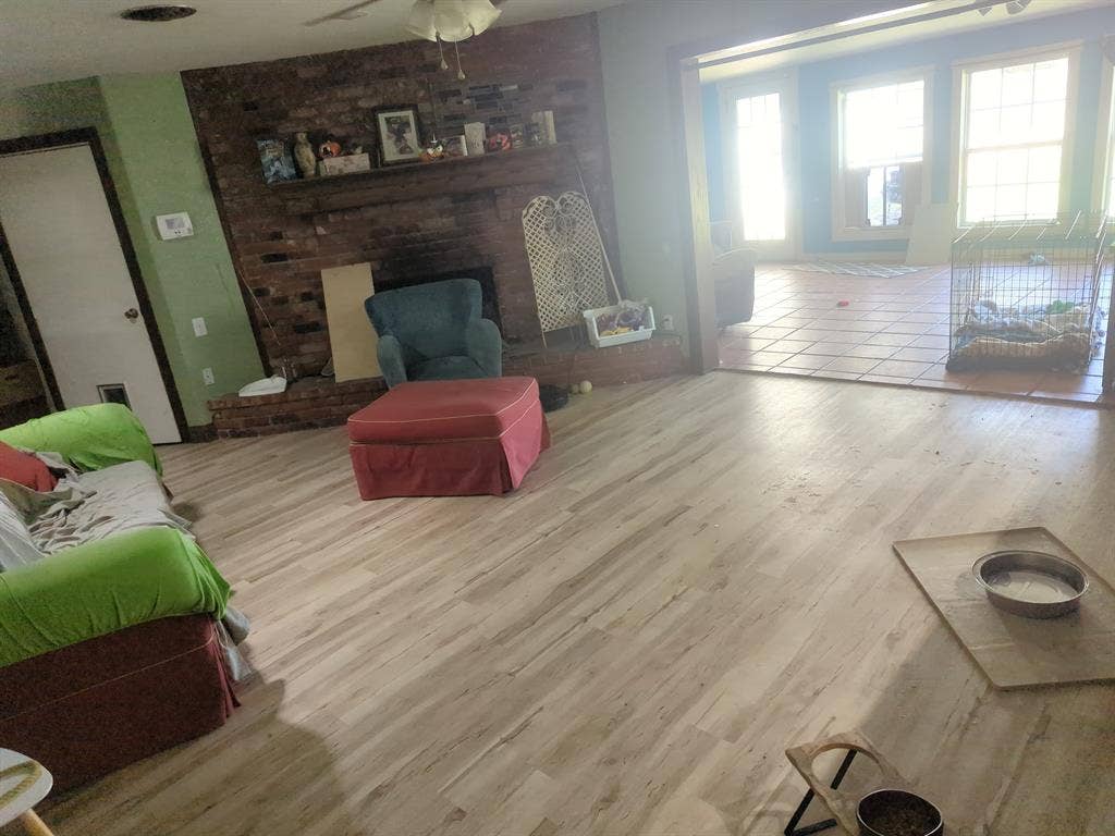 Looking for a roommate