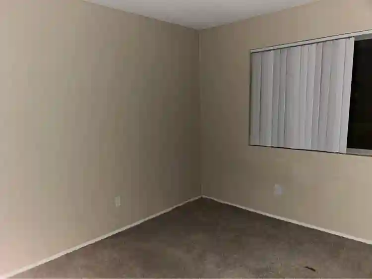 Looking for a roomate