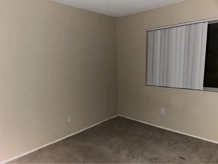 Looking for a roomate