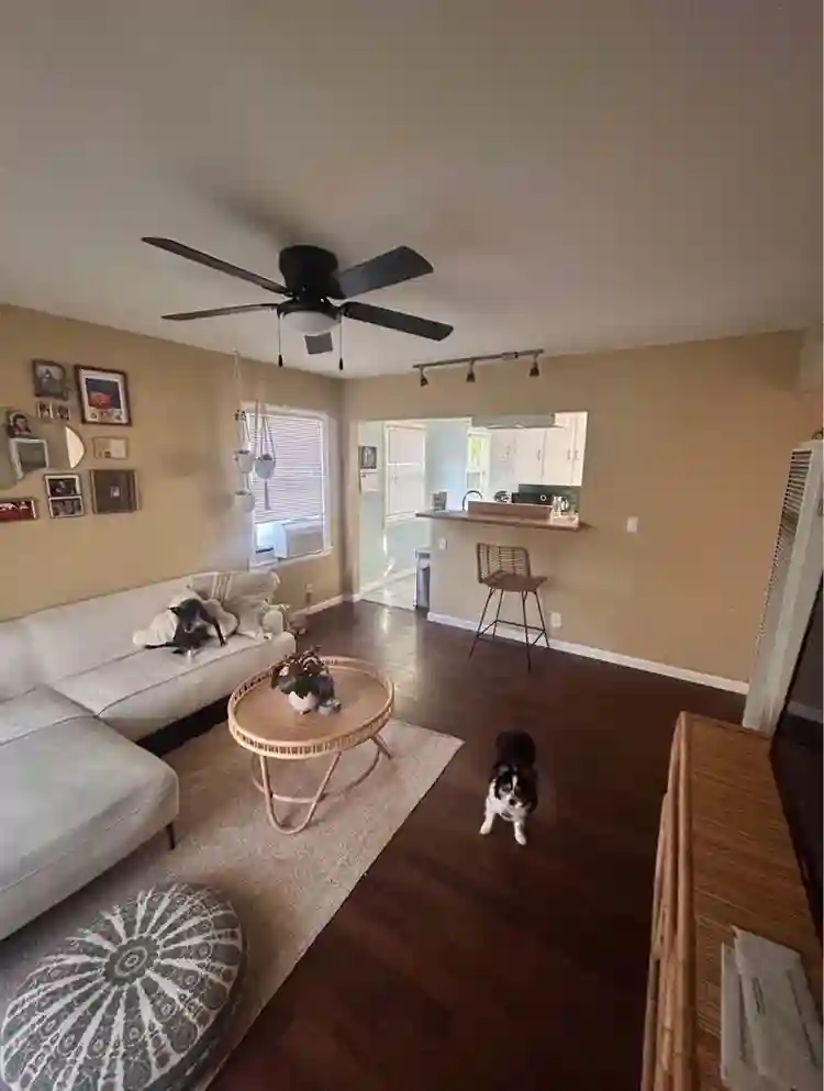 Looking for one Female roommate